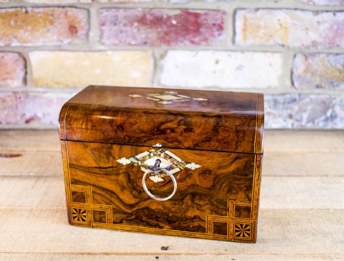 Burr Walnut Tea Caddy C.1870