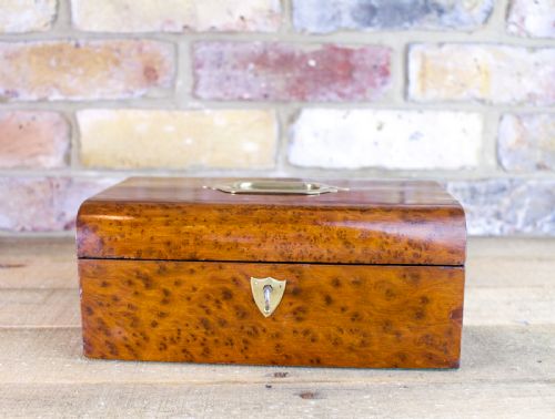 Laburnum Wood Table Box C.1890
