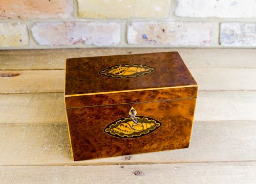 Rare Collectors Georgian Tea Caddy C.1800