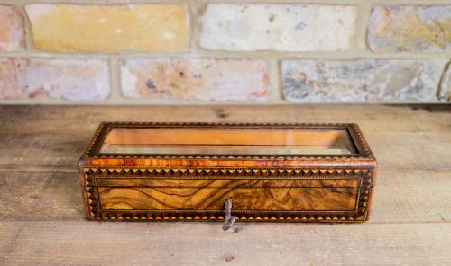 Burr Walnut Glass Top Display Box C.1880