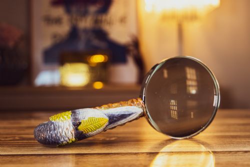 Carved Parrot Magnifying Glass 1910