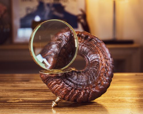 Rams Horn & Brass 1900