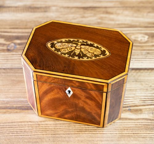 Rare Mahogany Moth Inlaid Tea Caddy 1820