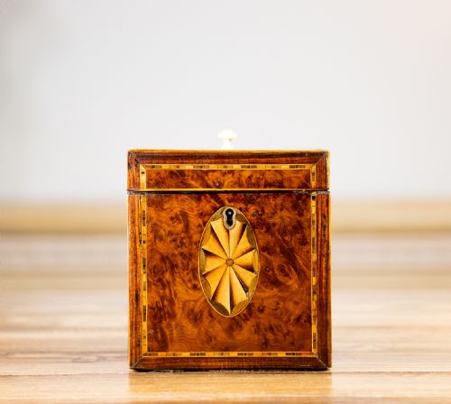 Burr Yew Single Tea Caddy 1800