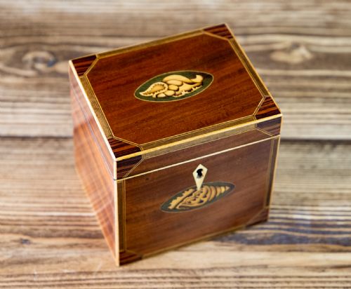 Mahogany Single Georgian Tea Caddy 1800
