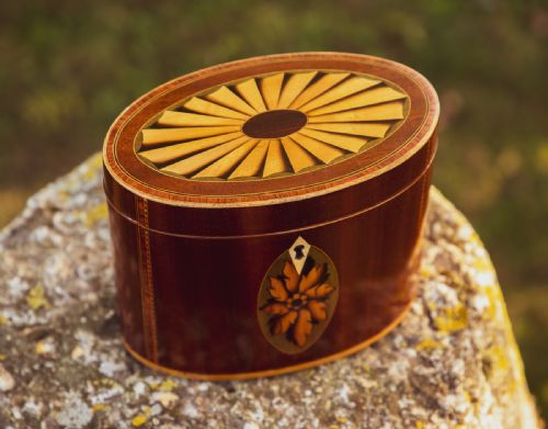 Georgian Mahogany Oval Tea Caddy 1790