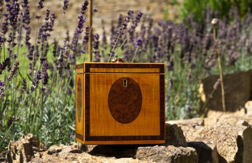 Georgian Satinwood Tea Caddy C.1800