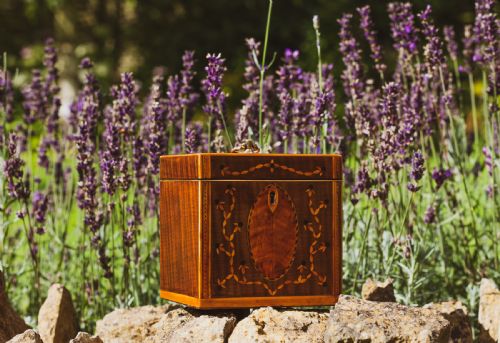 Collectors Harewood Single Tea Caddy 1790