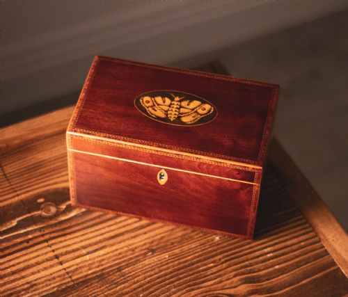 Moth Inlay Georgian Jewellery Box 1800