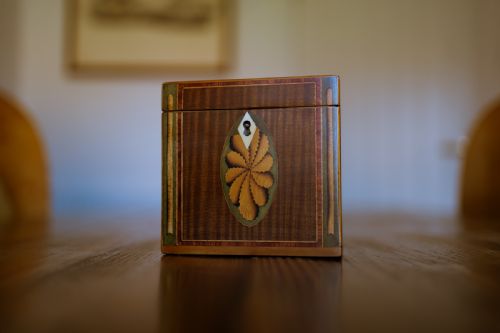 fig 1. Harewood Tea Caddy with Oval Inlay and Shell