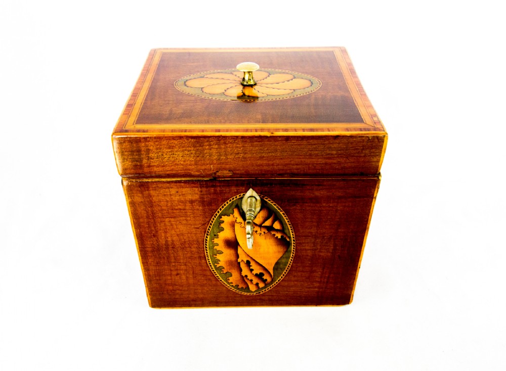 Single Burr Yew Tea Caddy c.1790