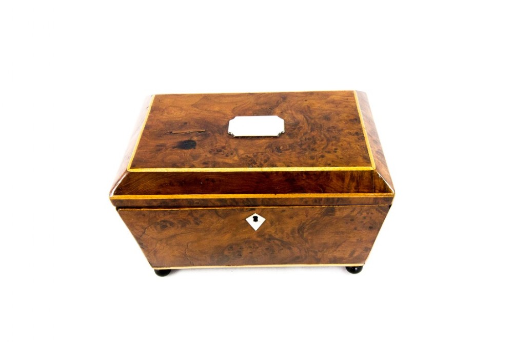Burr Yew Tea Caddy c.1820
