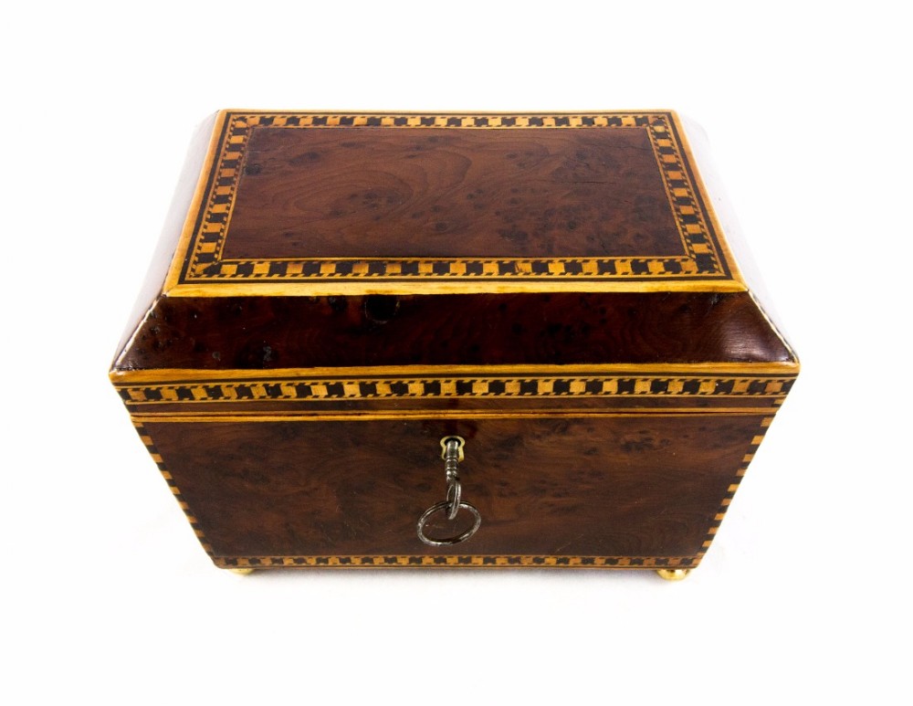 Burr Yew Tea Caddy c.1800