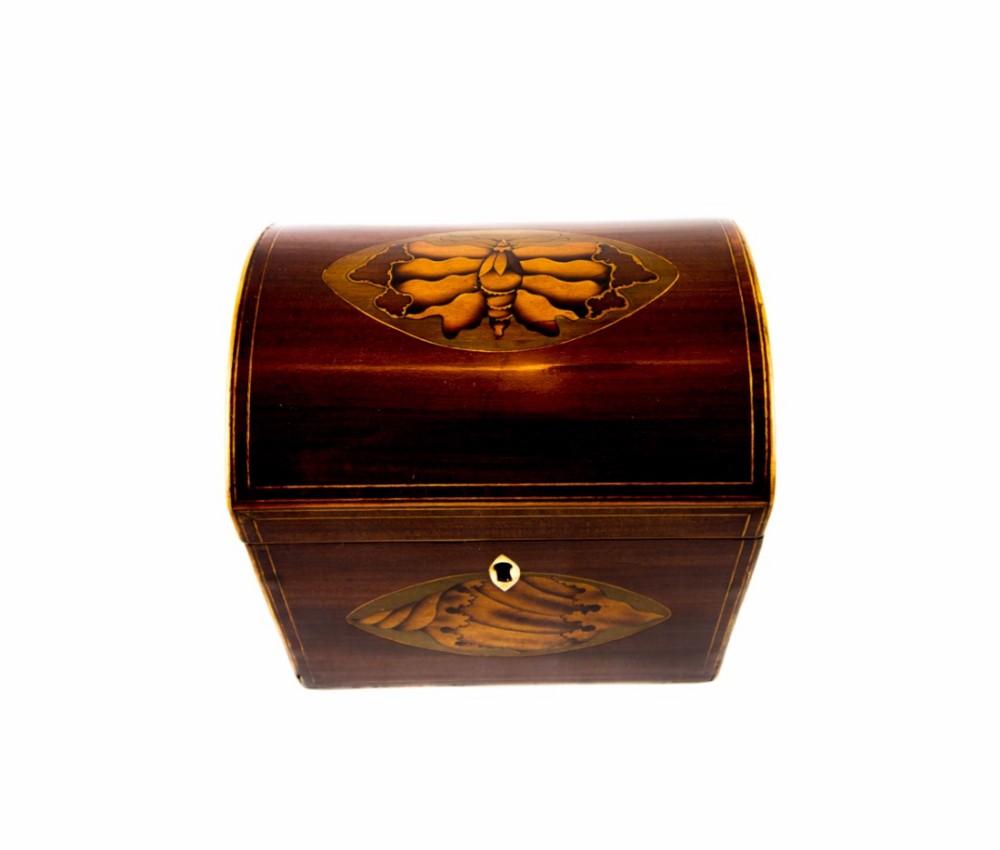 Moth Domed Top Georgian Tea Caddy c.1800