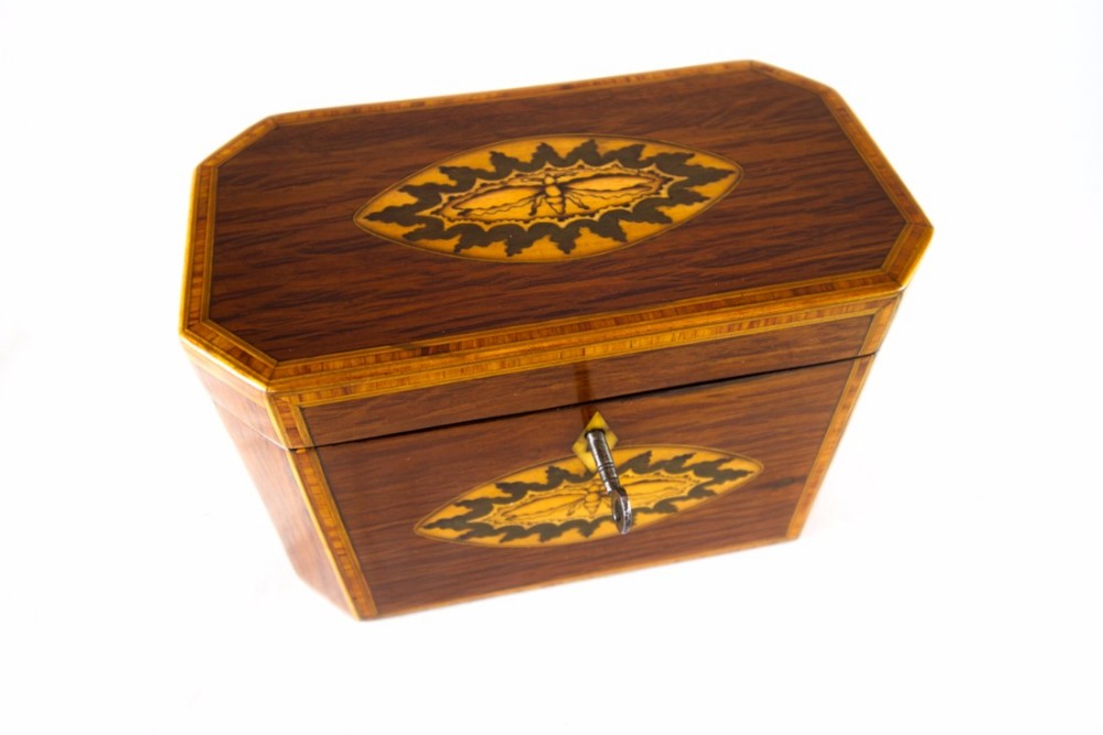 Rare Partridge wood twin tea caddy c.1800