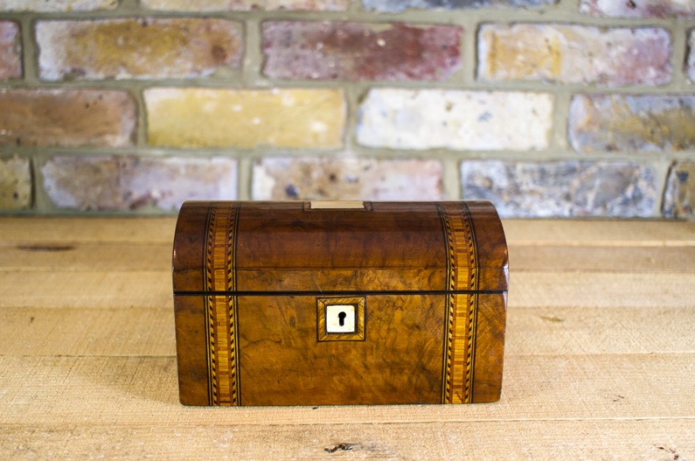 Dome Top Walnut Tea Caddy c.1870