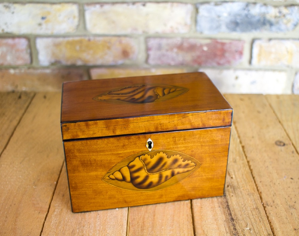 Satinwood Twin Tea Caddy c.1780