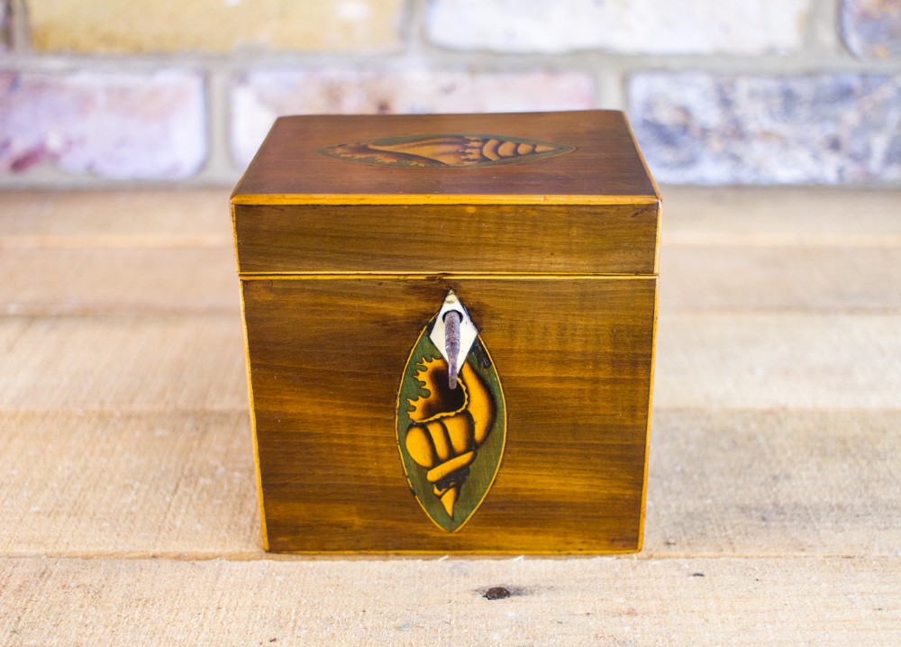 Mahogany Single Tea Caddy c.1780