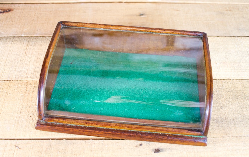 Small Display Cabinet c.1900