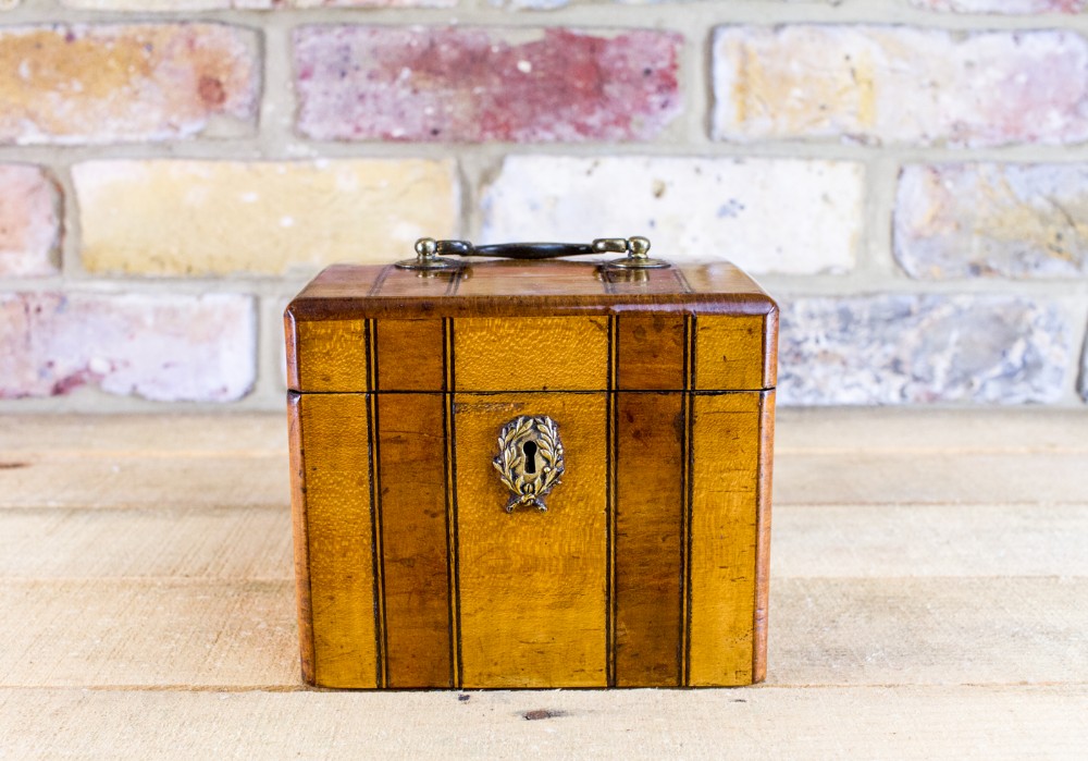Satinwood Single Tea Caddy c.1870