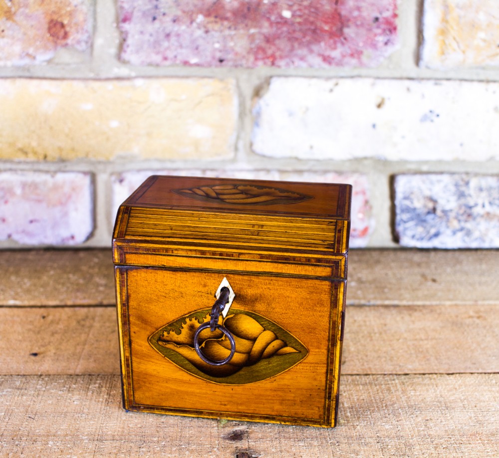 Rare Step Lid Georgian Tea Caddy c.1790