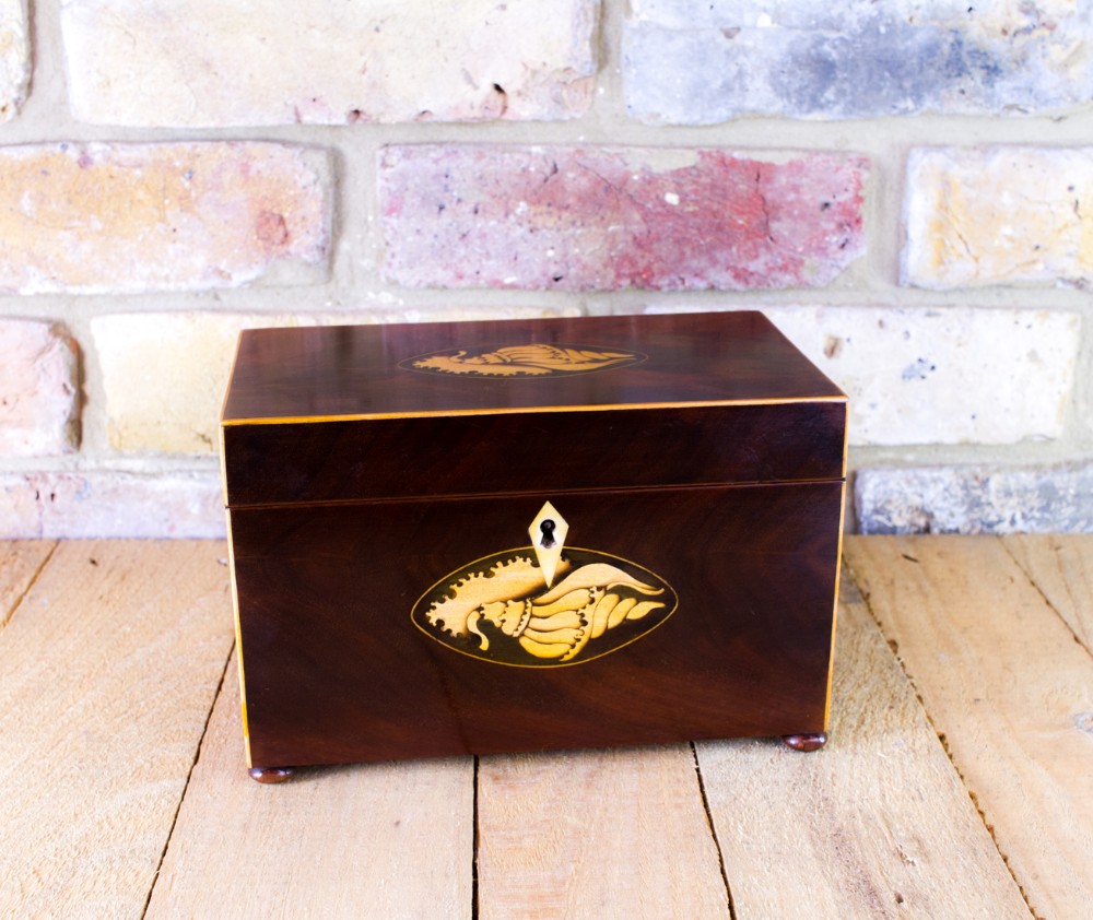 Mahogany Twin lid Tea Caddy c.1790