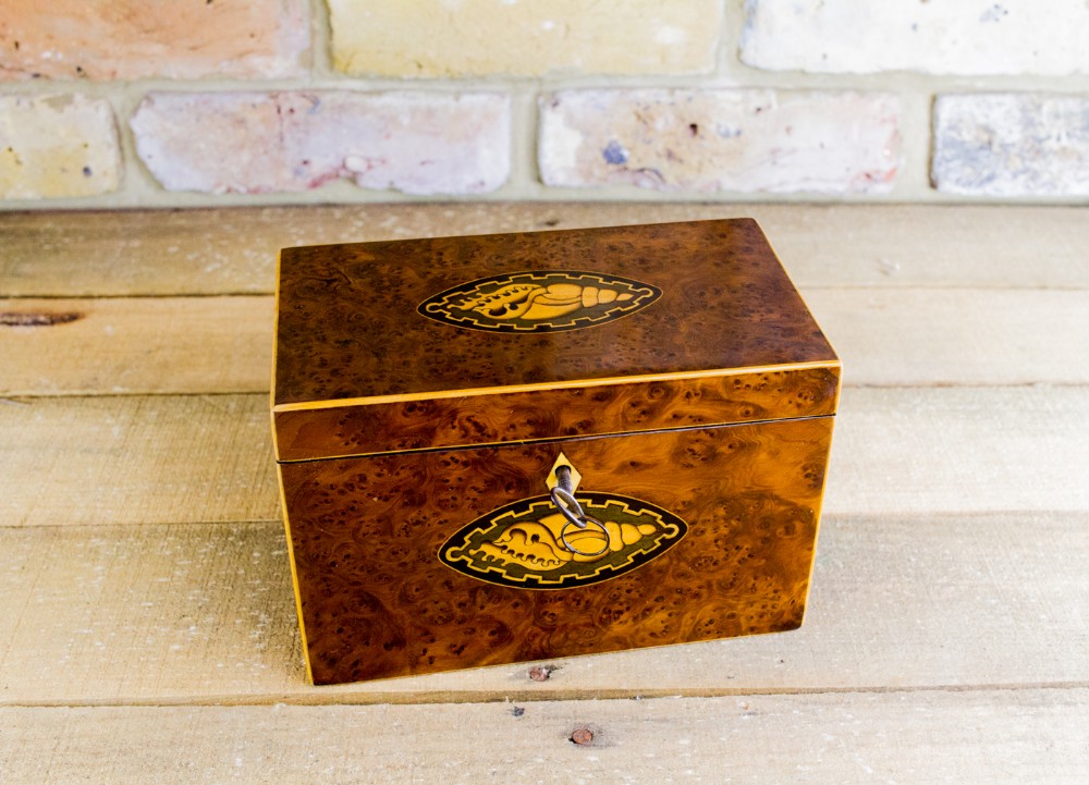 Rare Collectors Georgian Tea Caddy c.1800