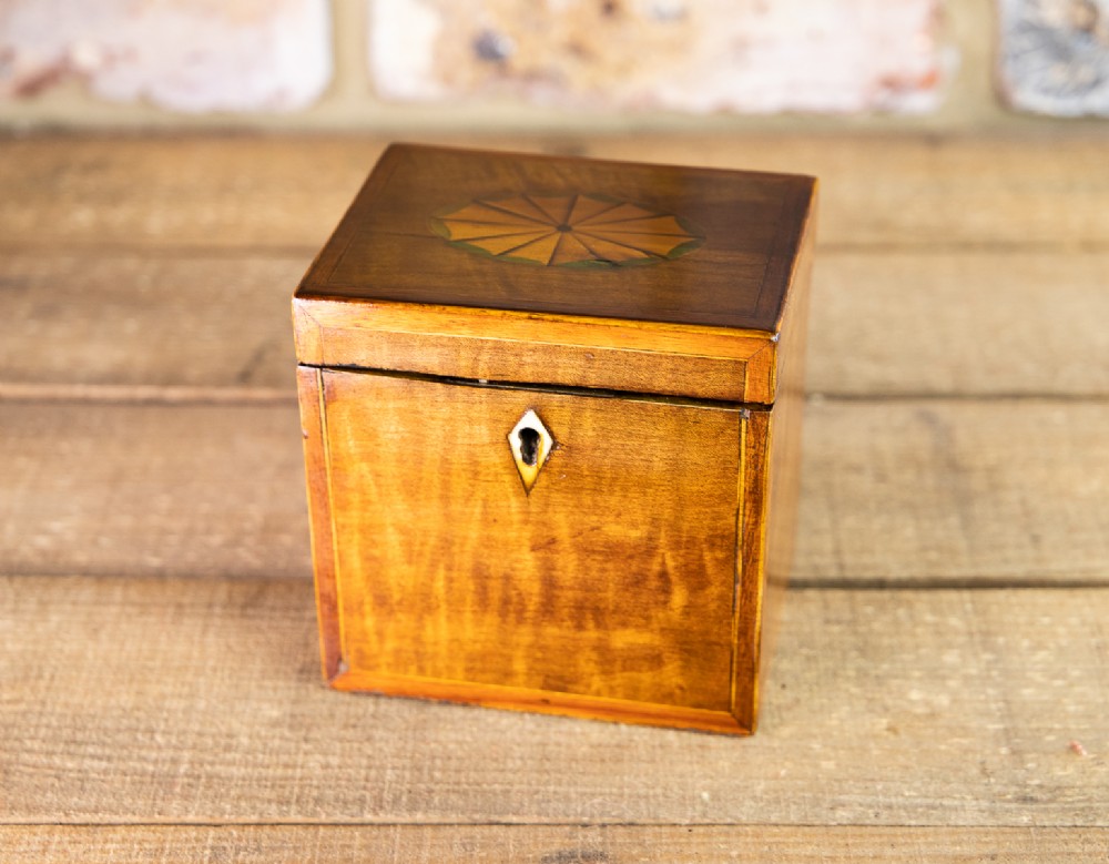 Fiddle Back Georgian Mahogany Tea Caddy 1810