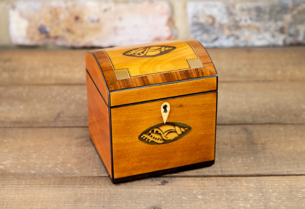 Stunning Satinwood Single Georgian Tea Caddy 1800