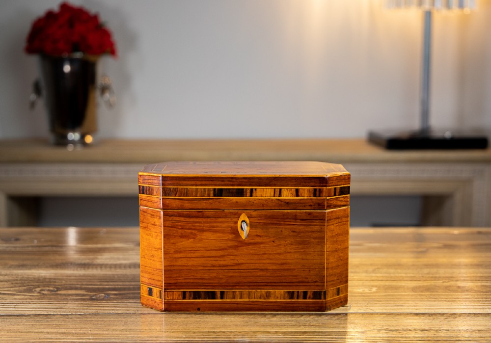 Stunning Kingwood Tea Caddy 1840