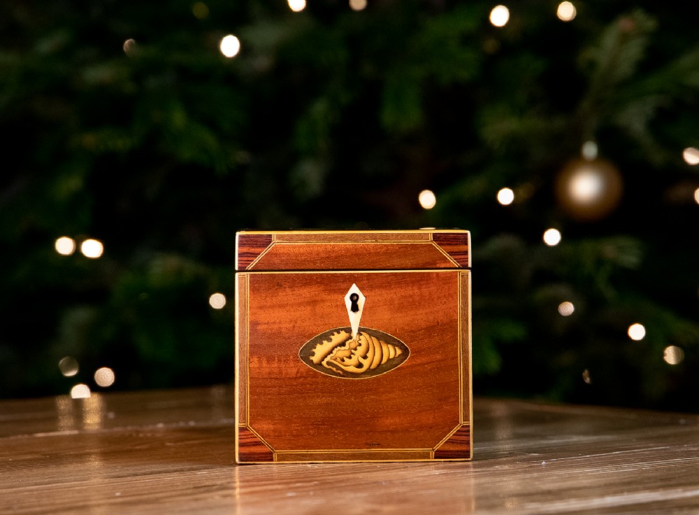 Mahogany Single Georgian Tea Caddy