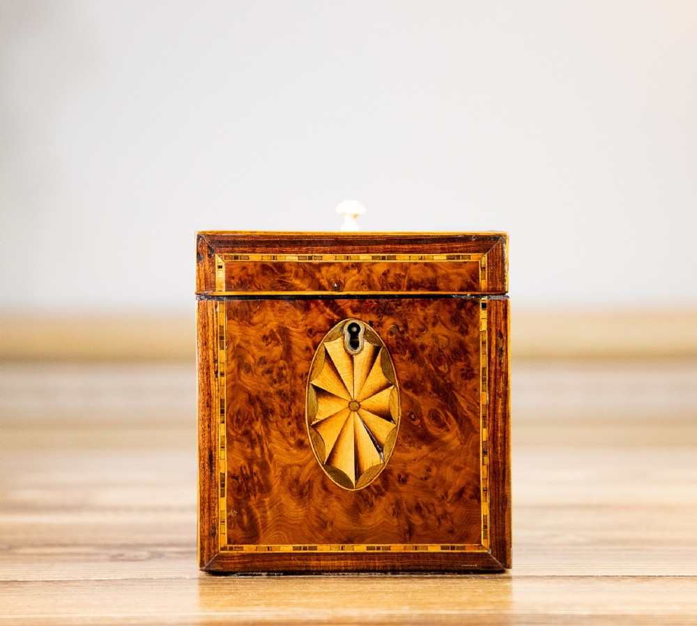 Burr Yew Single Tea Caddy 1800