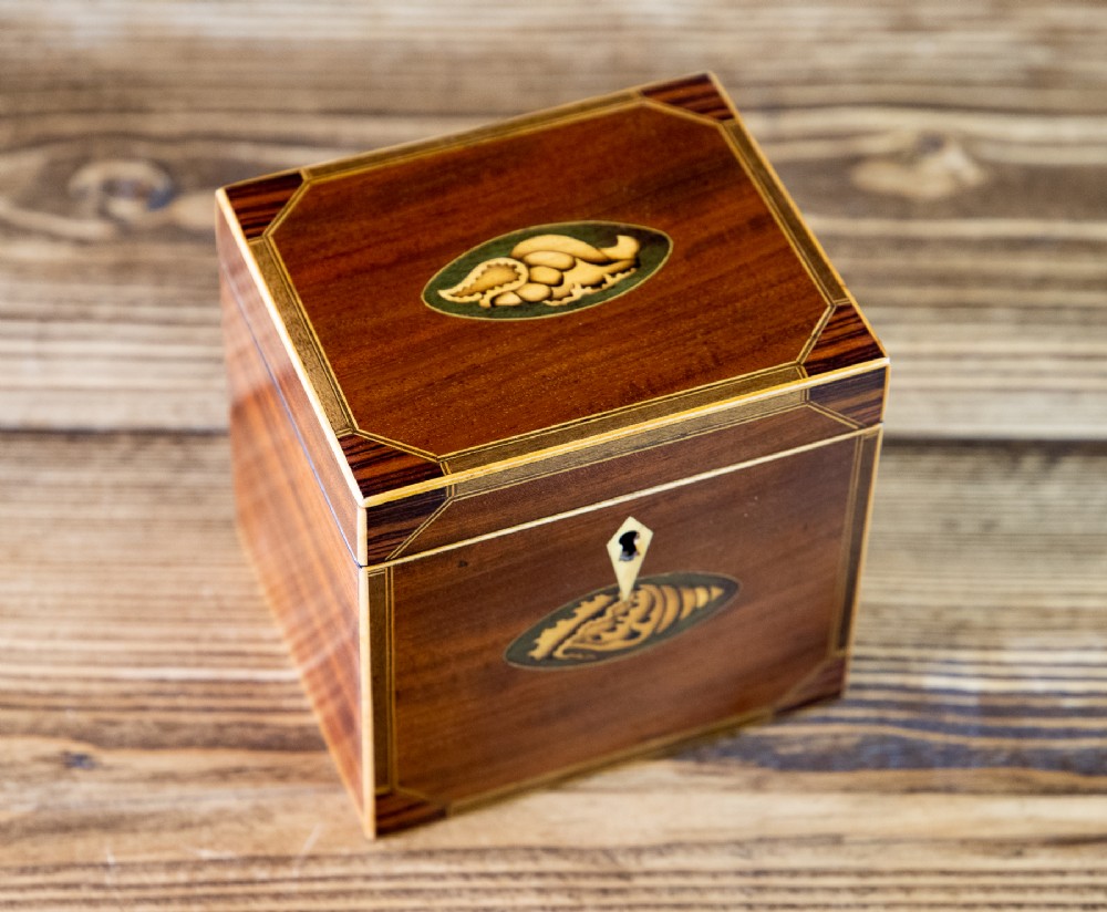 Mahogany Single Georgian Tea Caddy 1800