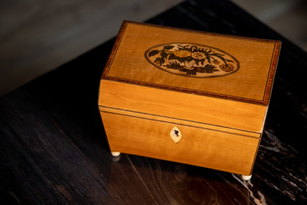Georgian Satinwood Box 1800 