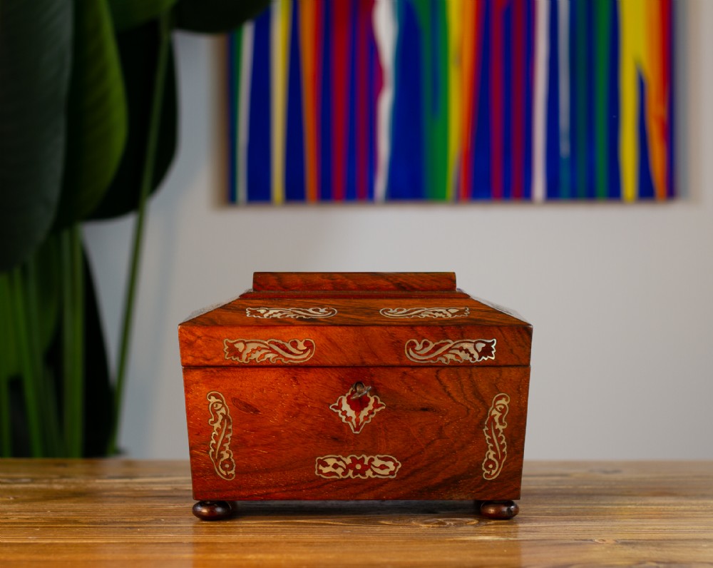 William IV Rosewood Tea Caddy 1830