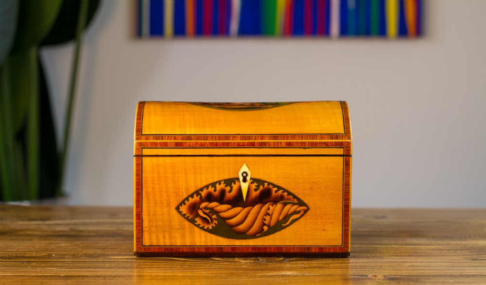 Rare Stag Inlaid Satinwood Tea Caddy 1800