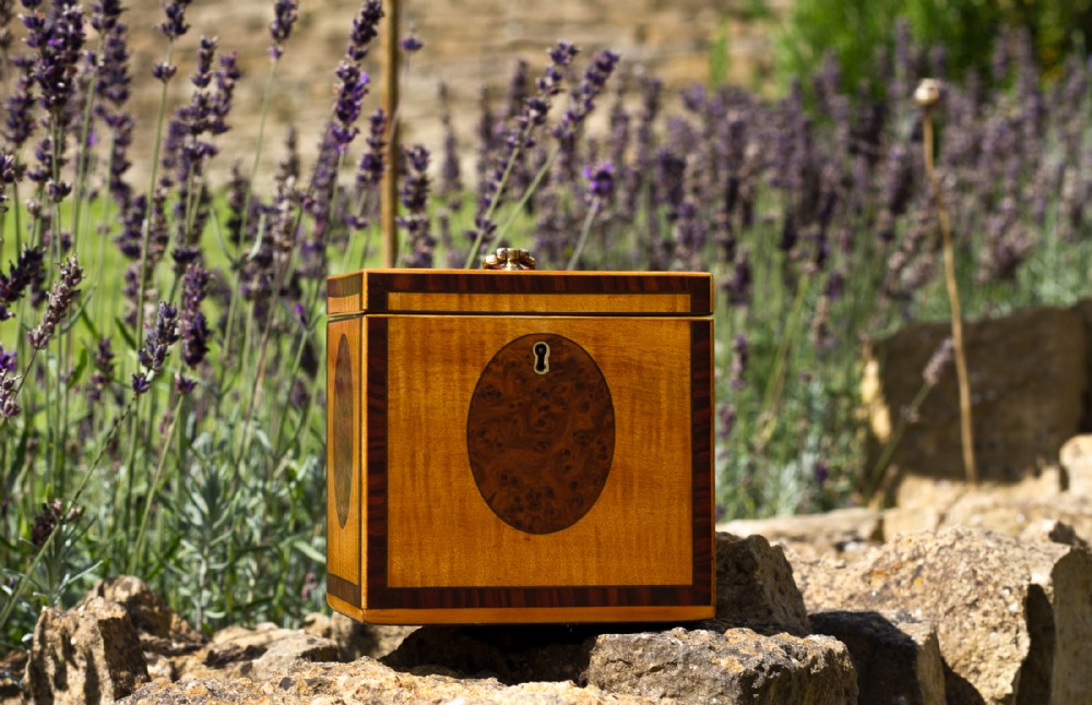 Georgian Satinwood Tea Caddy c.1800