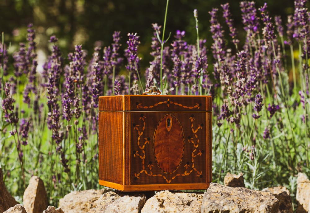 Collectors Harewood Single Tea Caddy 1790