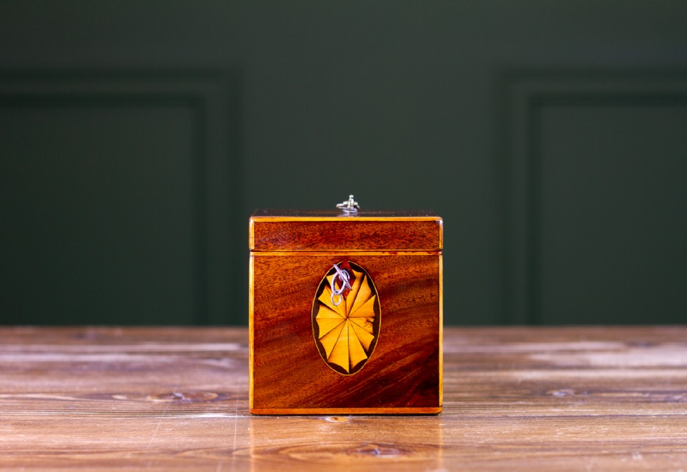 Georgian Single Tea Caddy 1800