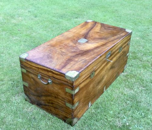 Camphor Campaign/military Chest/trunk