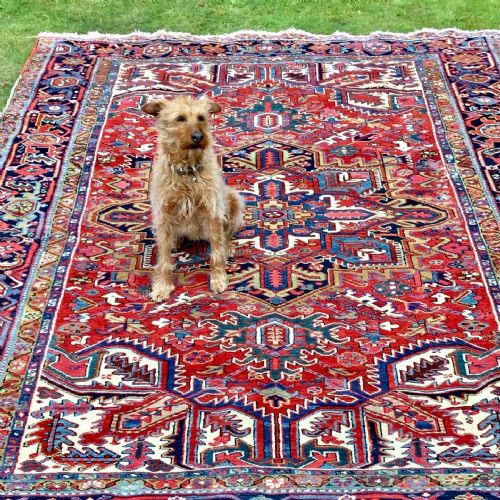 RUG HERIZ - ADDITIONAL PHOTO 2