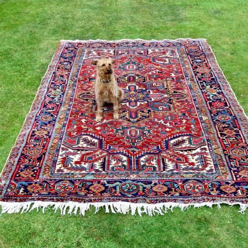RUG HERIZ - ADDITIONAL PHOTO 1
