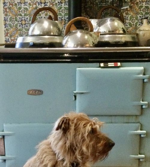 KETTLE - ADDITIONAL PHOTO 4