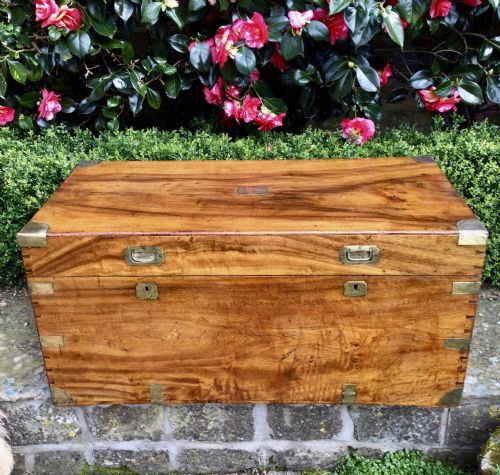Camphor Trunk/ Chest