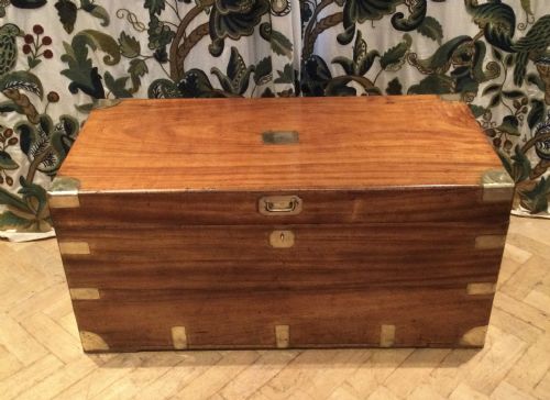 Camphor Trunk
