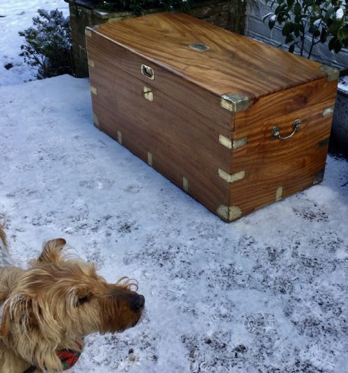 CAMPHOR TRUNKCHEST - ADDITIONAL PHOTO 6