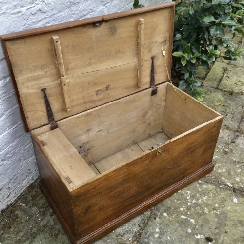 ELM TRUNKCHEST - ADDITIONAL PHOTO 3
