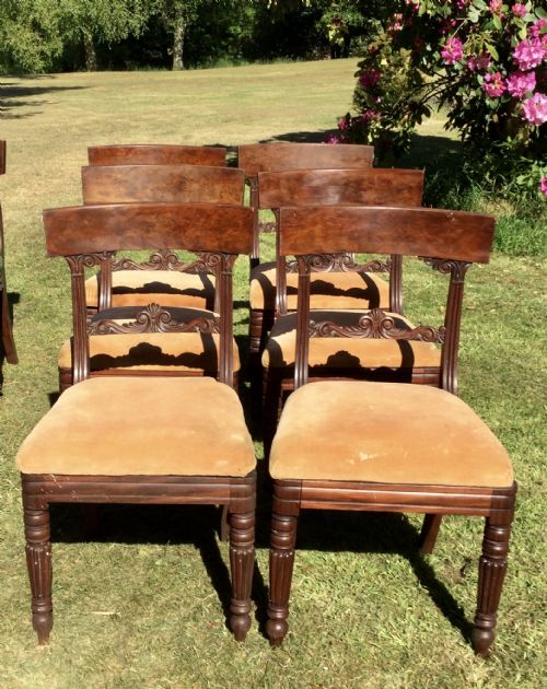 SET OF 6 MAHOGANY DINING CHAIRS - ADDITIONAL PHOTO 1