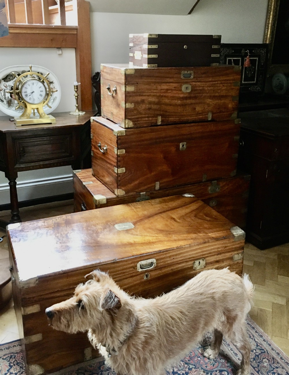 Camphor campaign/military chest/trunk View VII