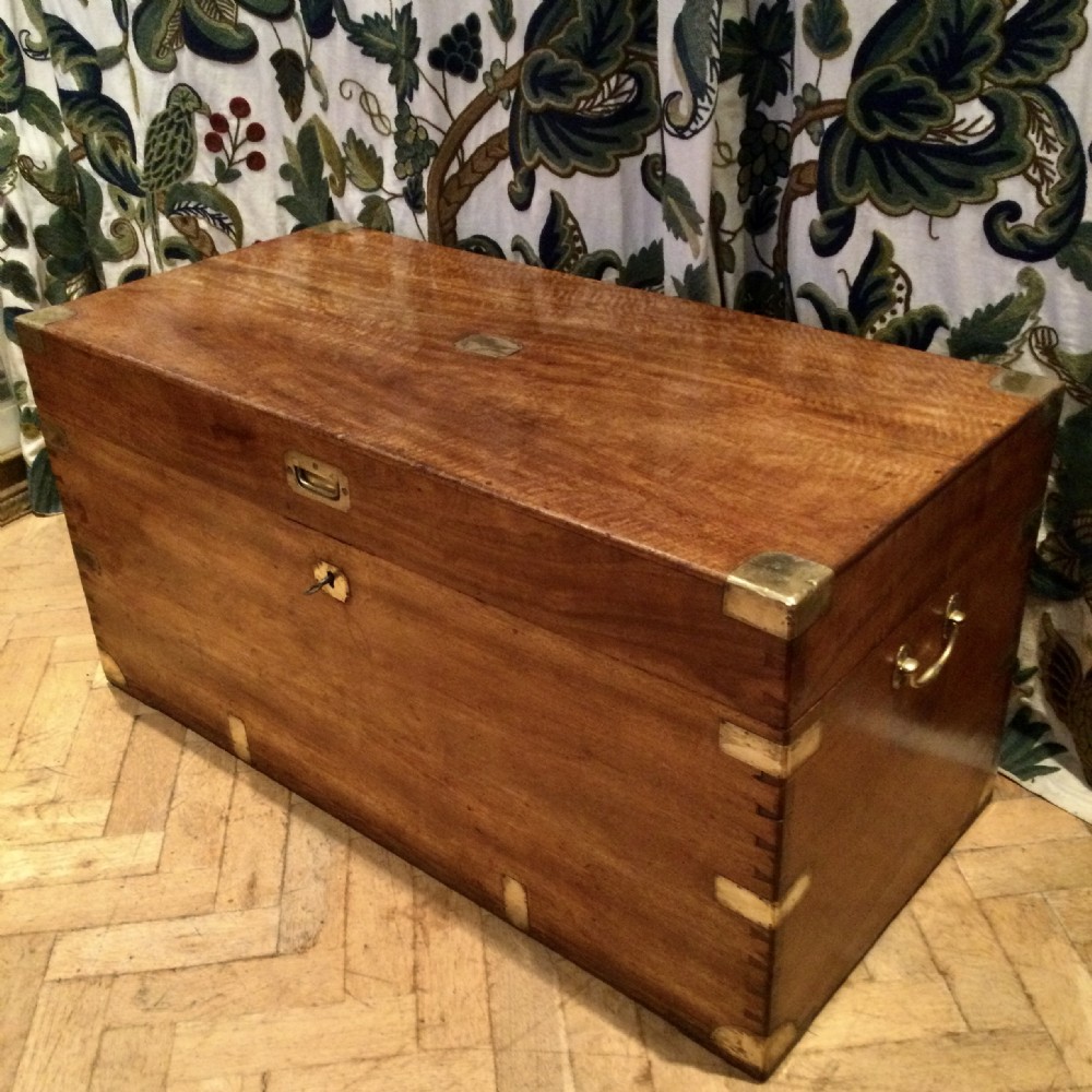 Camphor trunk chest